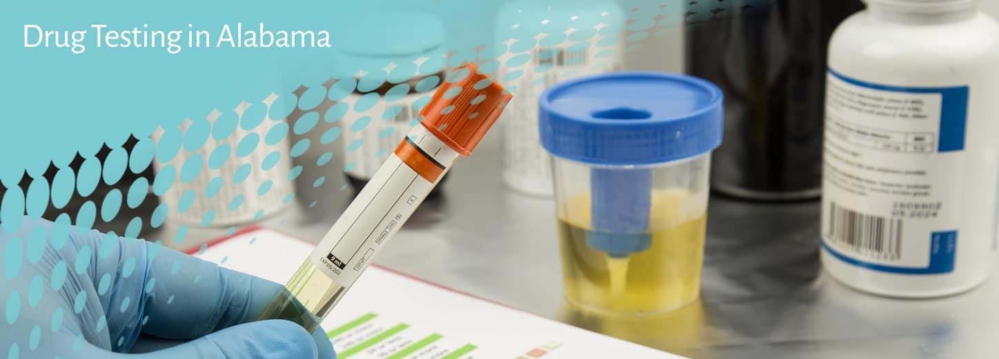 how far back does a 5 panel hair follicle drug test go Highest Price